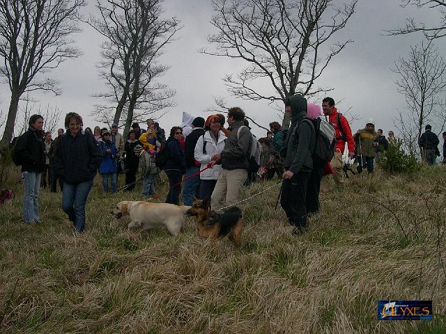 gruppo in aggregazione.JPG